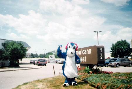 Americana West 6 - Promo Penguin (newer photo)